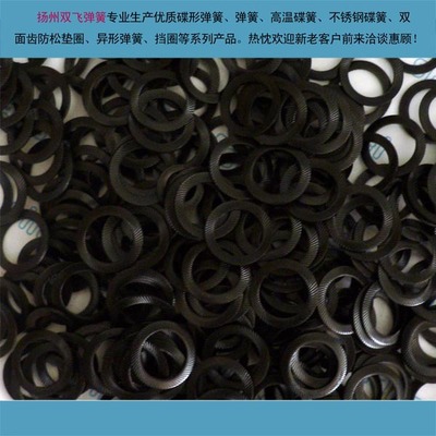 304 DIN9250防松墊圈