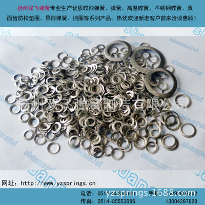 304 DIN9250防松墊圈